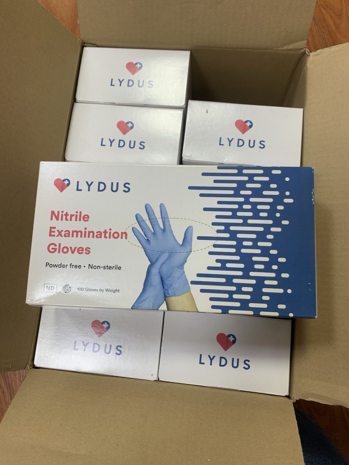 Lg Lydus Nitrile Examination Gloves LY3100NPFNS Powder Free Non-Sterile 100 ct