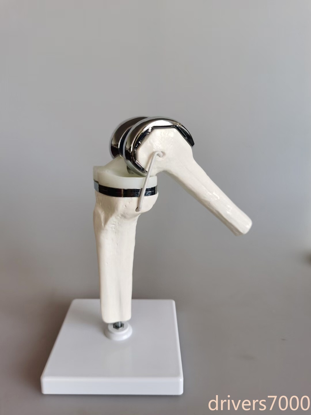 1:1 Artificial Knee Joint Medical Anatomical Skeleton Demo Display Model