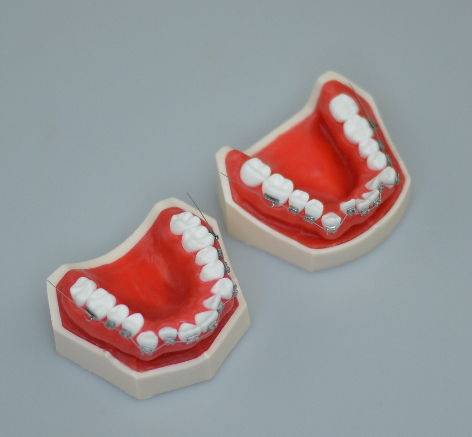 New Reusable Dental Practical Training Model/typodont/orthodontics Wax Model