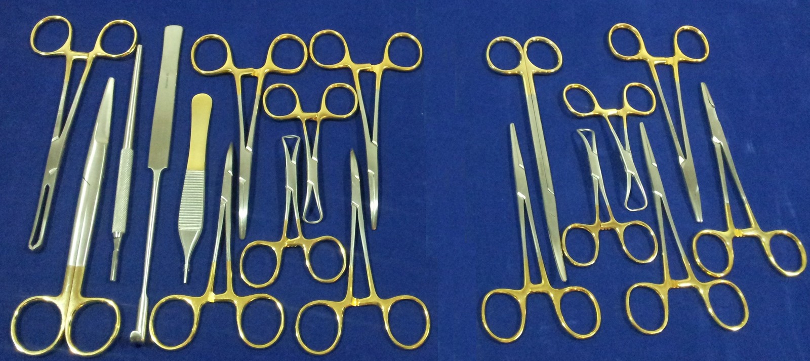 19 PCS GOLD HANDLE GENERAL CANINE SPAY PACK SURGICAL DENTAL INSTRUMENTS SET KIT