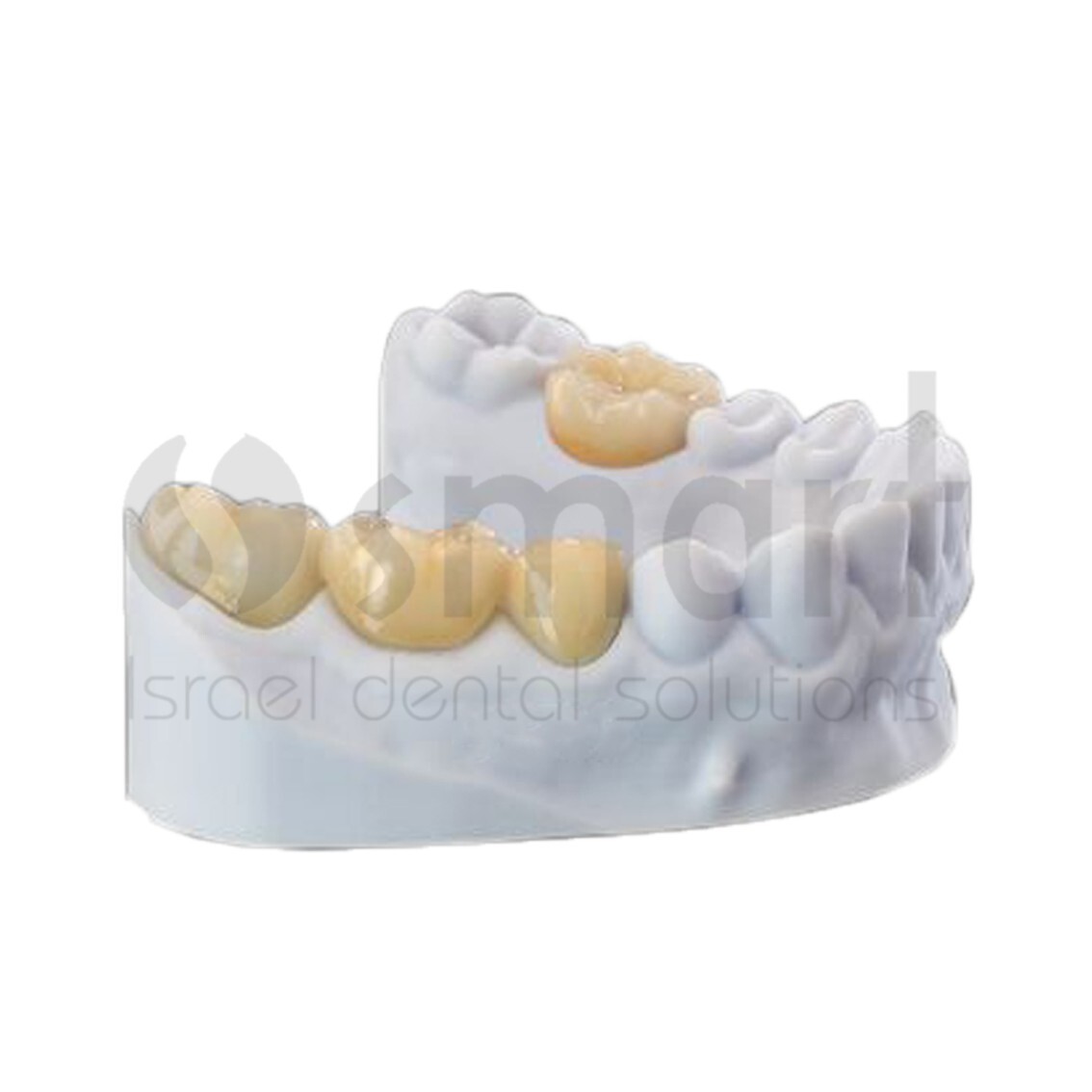 Detax Freeprint Crown 3D Printing permanent teeth 0.5L Long term bridge A2