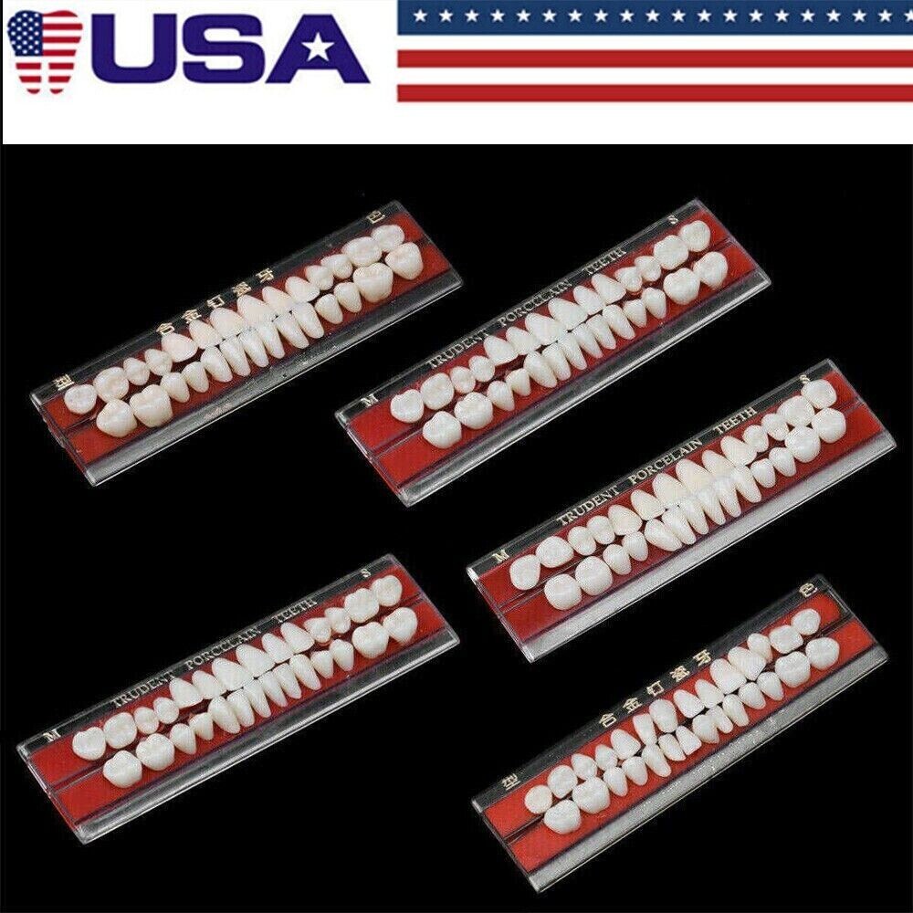 5 Set Alloy Pin Dental Materials Porcelain Teeth Tooth Shade Guide Dentures 24 #