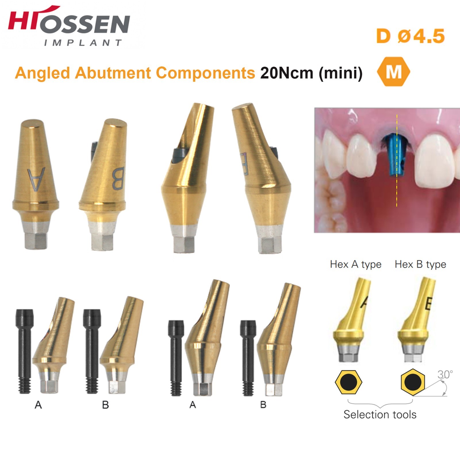 US Dental Prosthetic Abutment Straight & 17° Hex Angled Fit Osstem & Hiossen M/R