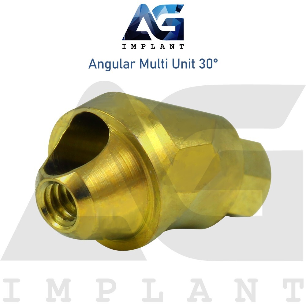 10 Angular Multi Unit 1.6 Prosthetic System 30° Internal Hex With Screw