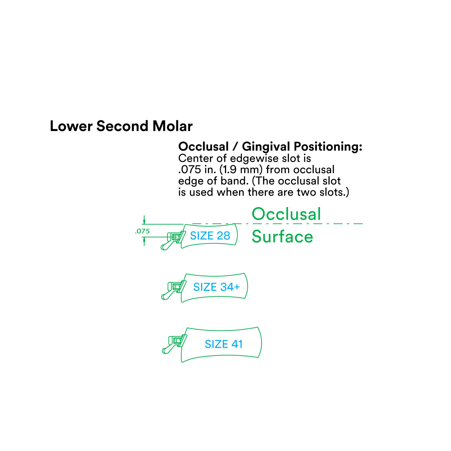 J&J Ortho™ Orthodontic #7 Second Molar Band Quadrant (4/pk) Optional Size