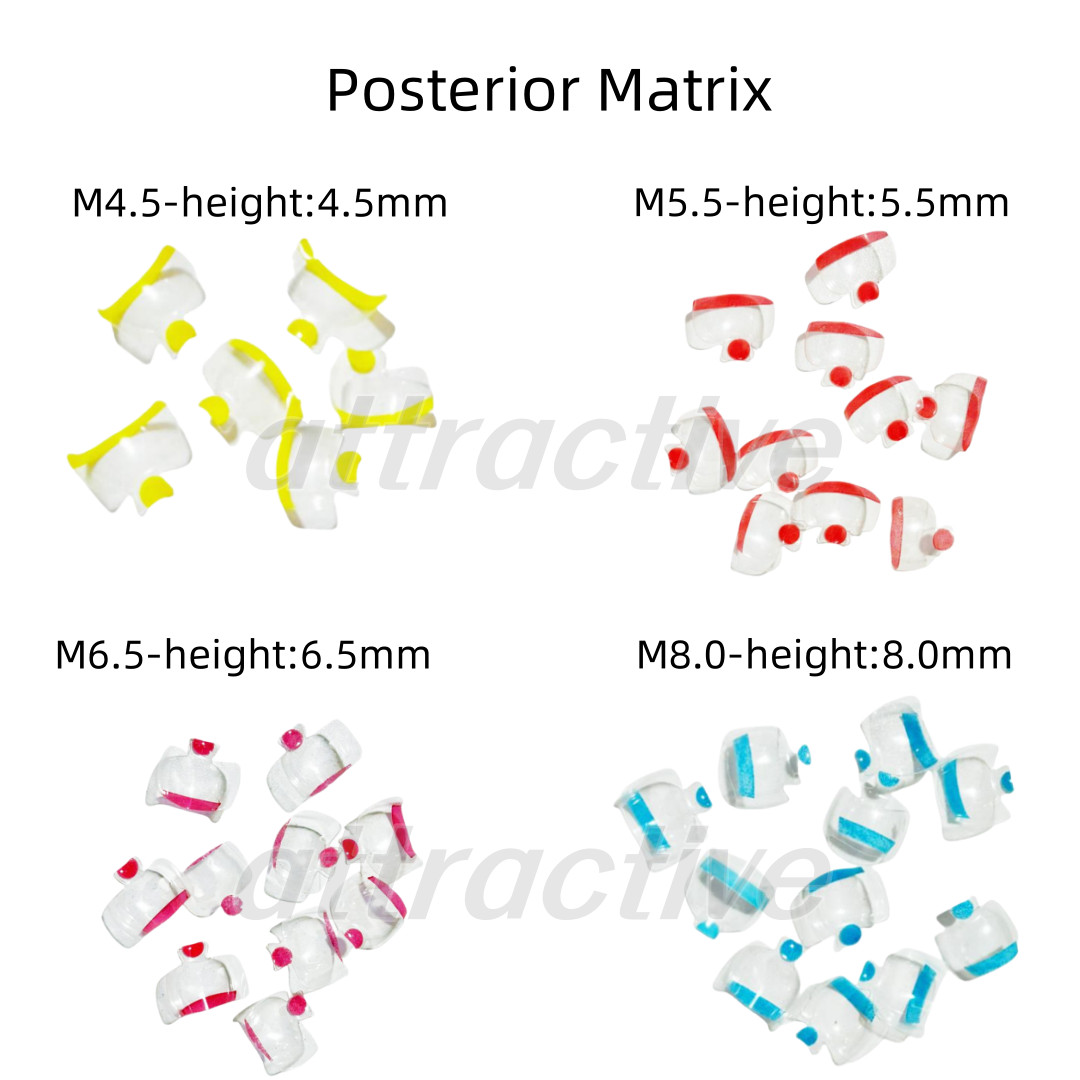 Dental Clear Matrix Anterior Posterior Restorative BT Bow Matrices Fit BioClear