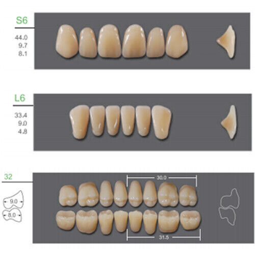 Huge Kaili Synthetic Polymer False Teeth Shade C1 Full Set: 28 teeth/set 4 sets