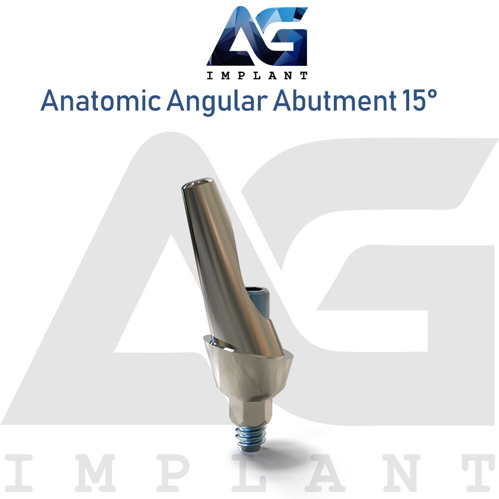 10 Anatomic Angular Prosthetic 15° Aesthetic Titanium Int Hex 2.42mm