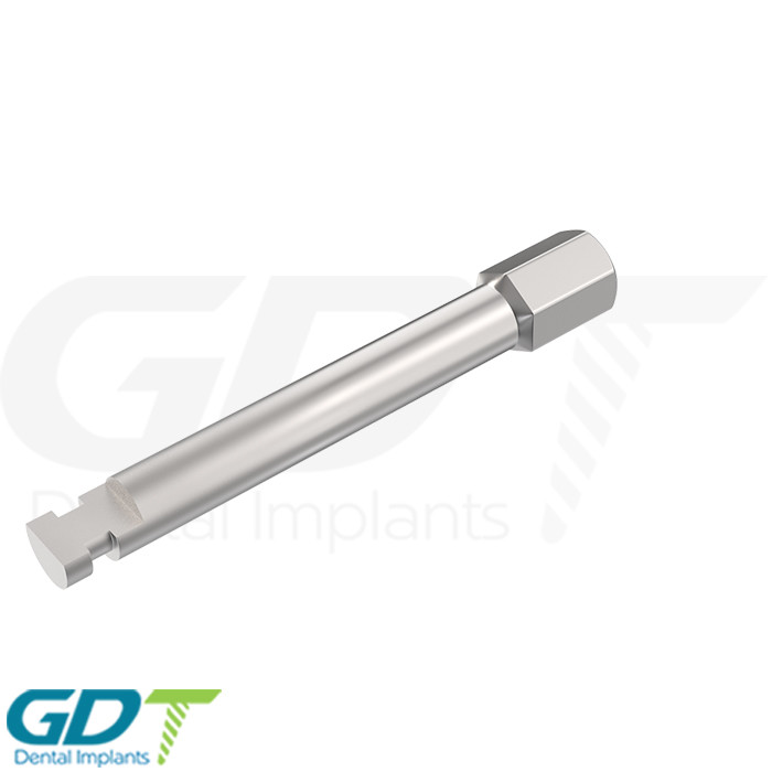 2 Hex Driver Motor Mount 2.42mm Internal Hex Dental Im plant For Dental Im plant