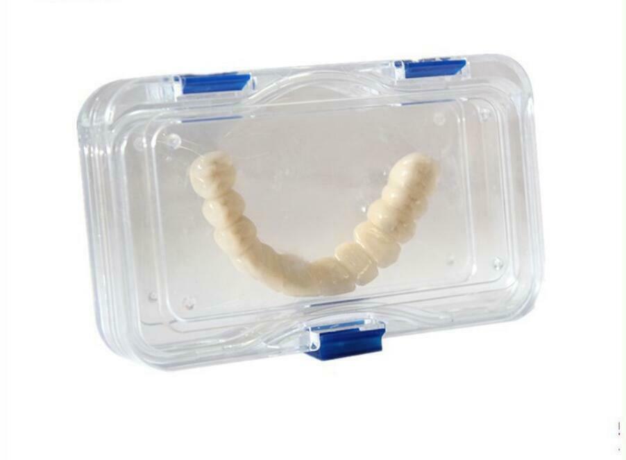 Denture False Inlay Teeth Membrane Case Hinged Display Jewelry Box Fragile 4size