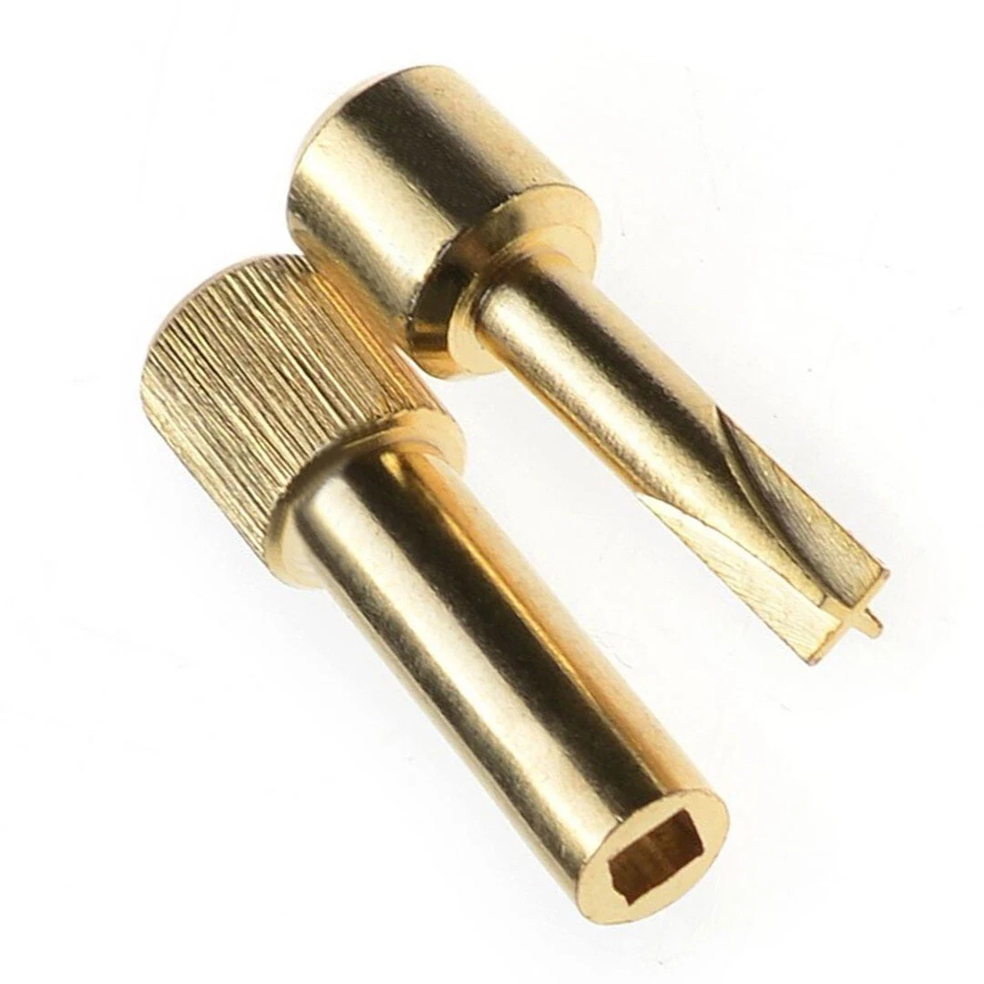 30 Pcs/Pack Endodontic Dental Stainless Steel Assorted Conical Screw Post Pin