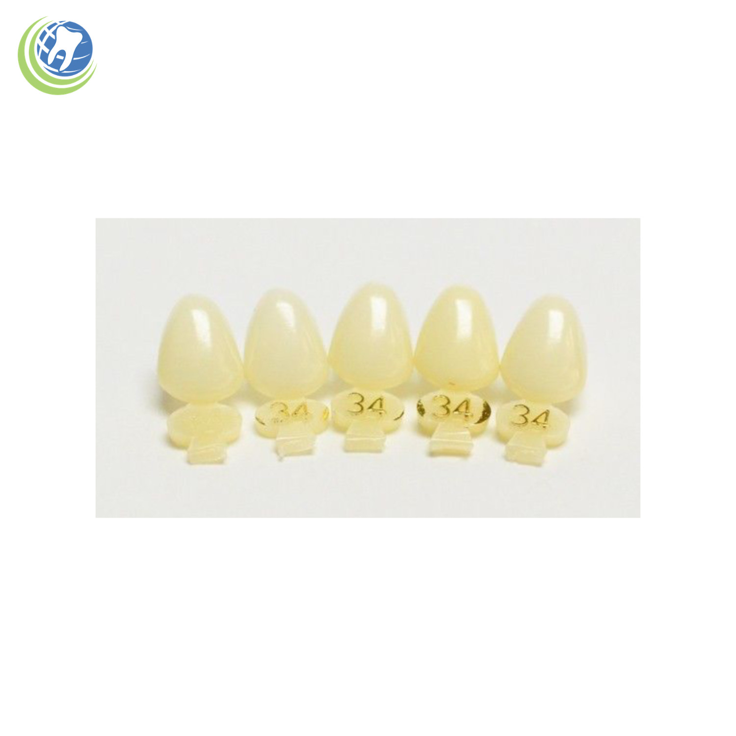 DENTAL POLYCARBONATE TEMPORARY CROWNS #34 (URC) UPPER RIGHT CUSPID 5/PACK