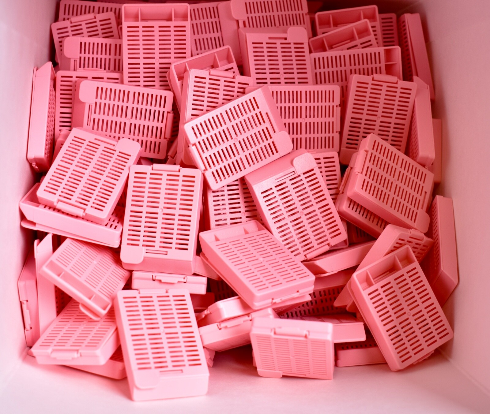 250 Count Fisherbrand Tissue Path Macrocasettes Cassettes IV Pink