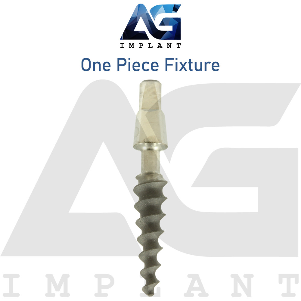 10 One Piece Fixture System Titanium Prosthetic Integrated SLA Surface Dental