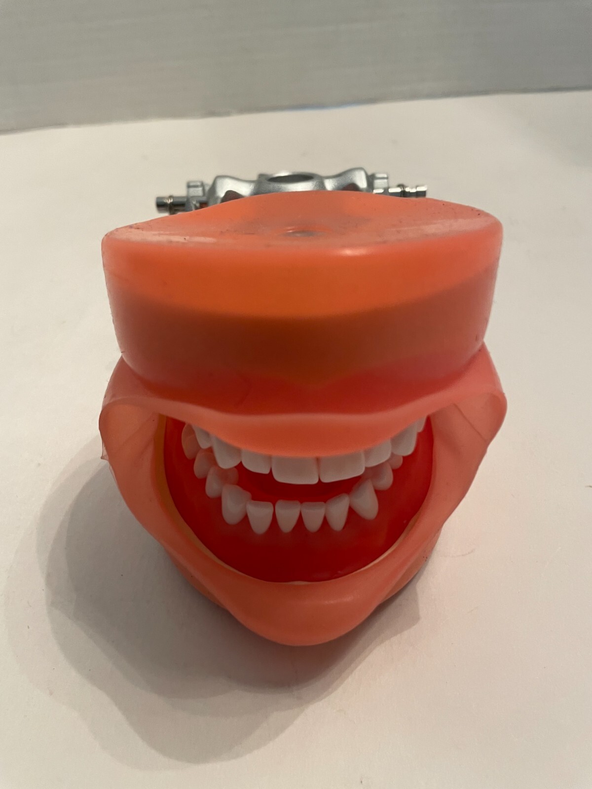 DENTAL Typodont Model 200 with Removable Teeth Kilgore Nissin Type