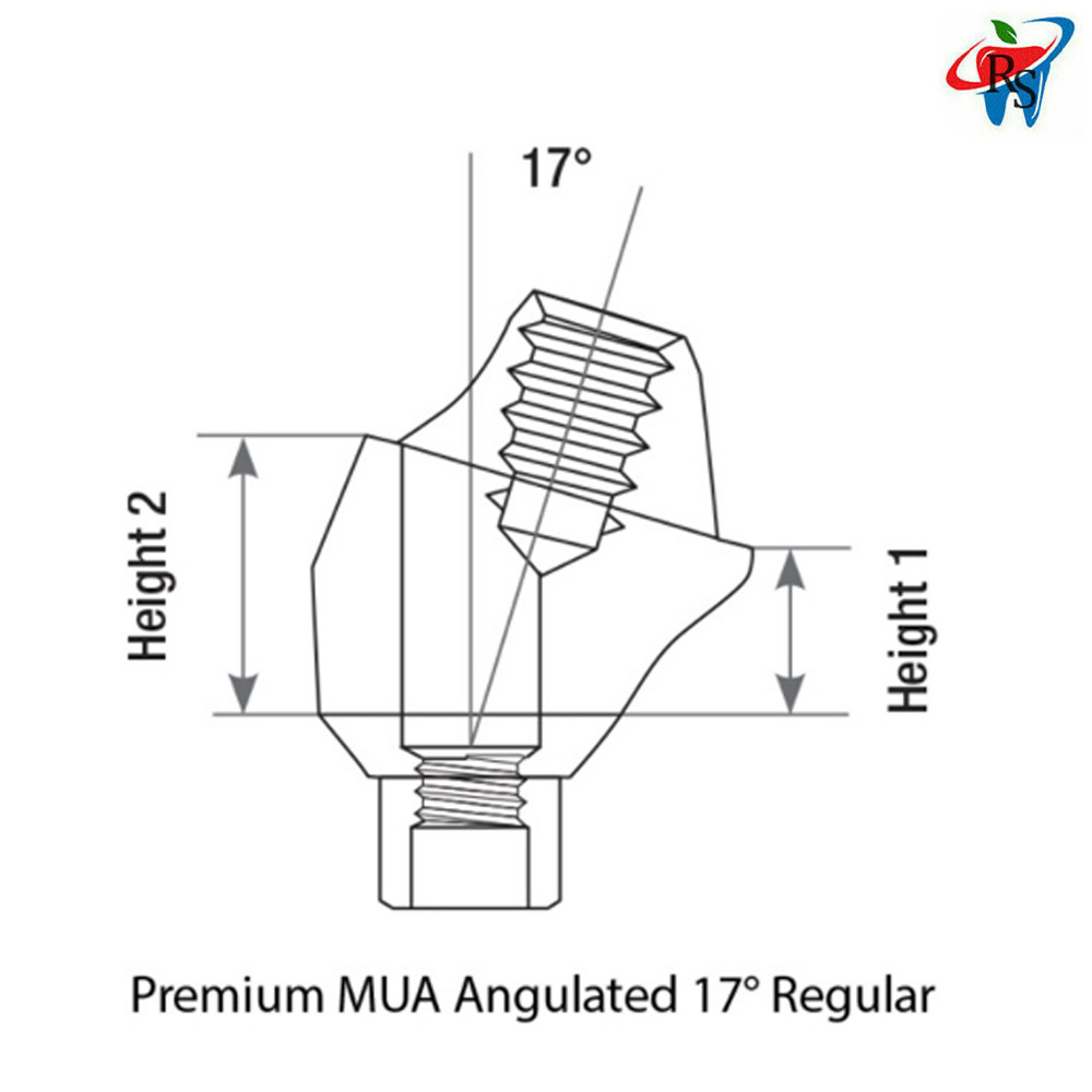 5pcs Prosthetic Angulated 17° Multi-Unit 1.6 Int Hex 2.42 Connection Dental Lab