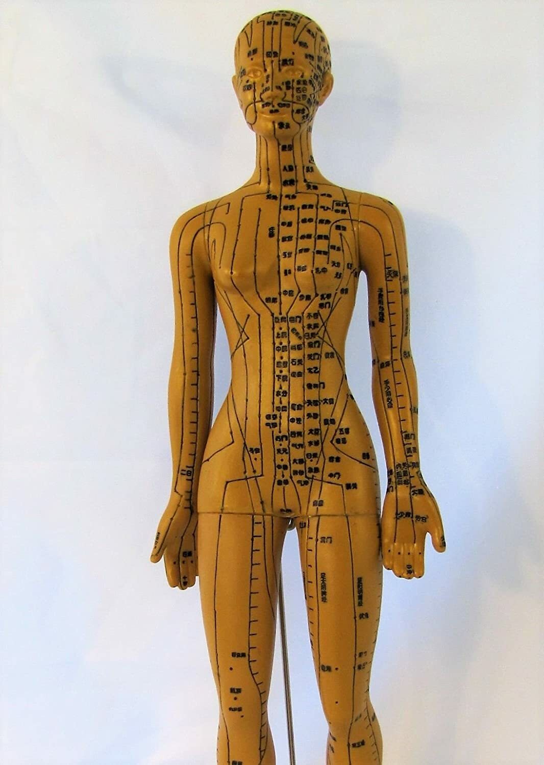 18″ female Chinese acupuncture model anatomy anatomical sculpture bronze color