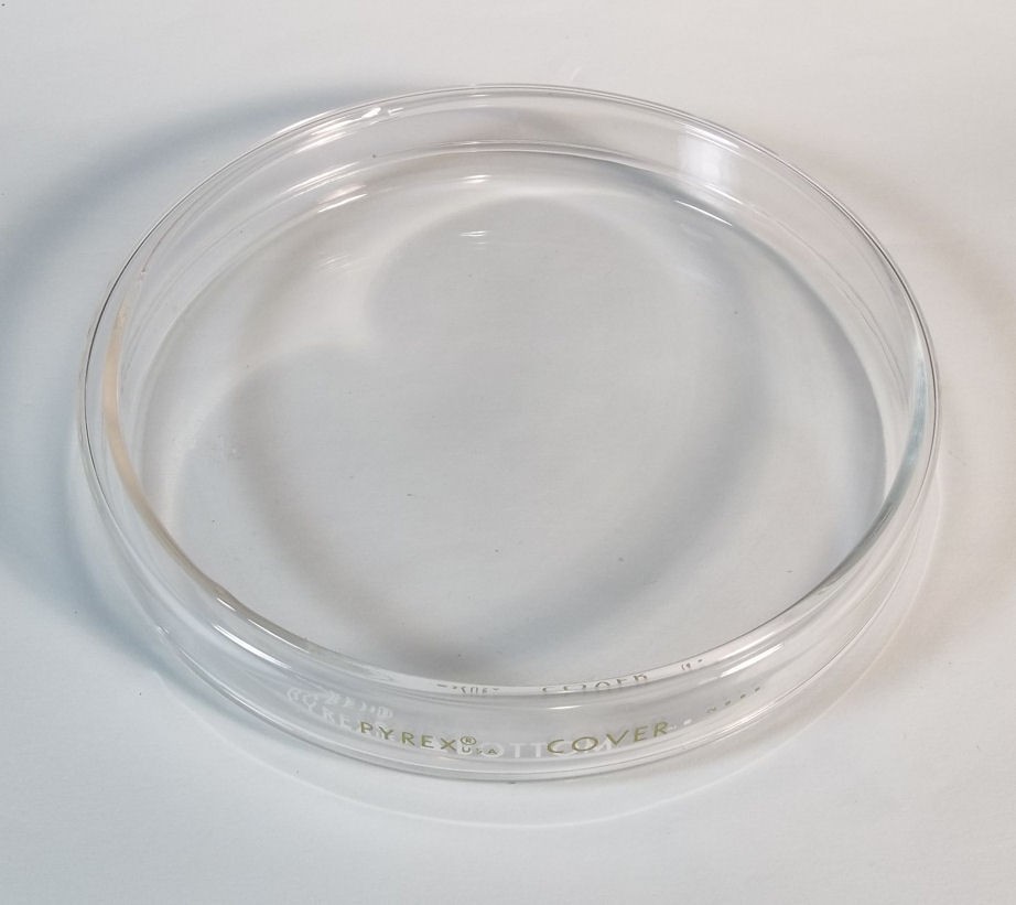 Pyrex Glass 150 mm x 25 mm Petri Dish Top and Bottom