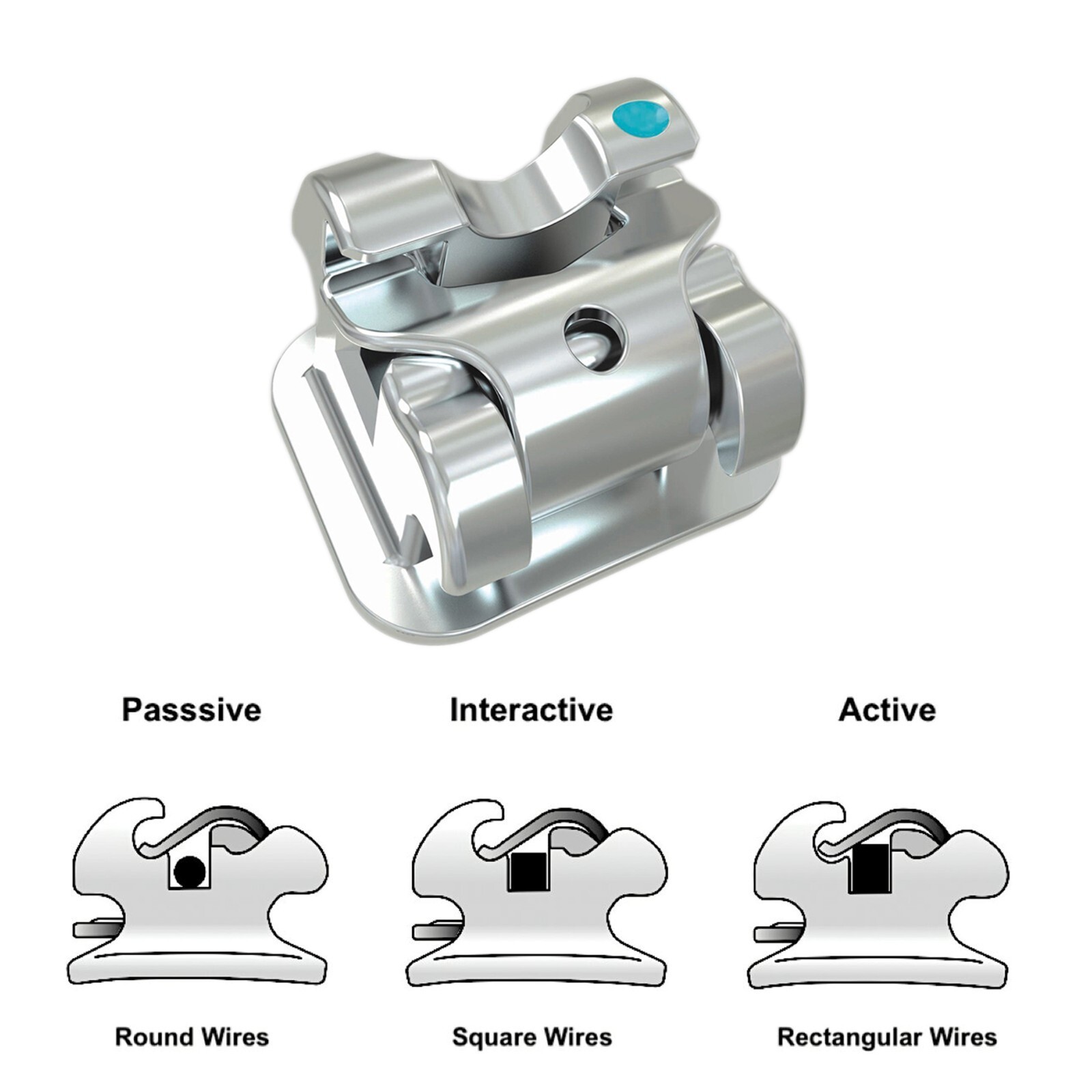 Orthodontic Brackets Clever Thomas Metal Damon AO Empower Self Ligating Braces