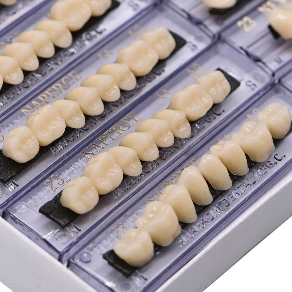 168X Acrylic Resin A1/A2/A3 Dental Denture Teeth Upper Lower Shade 22/23/24# USA