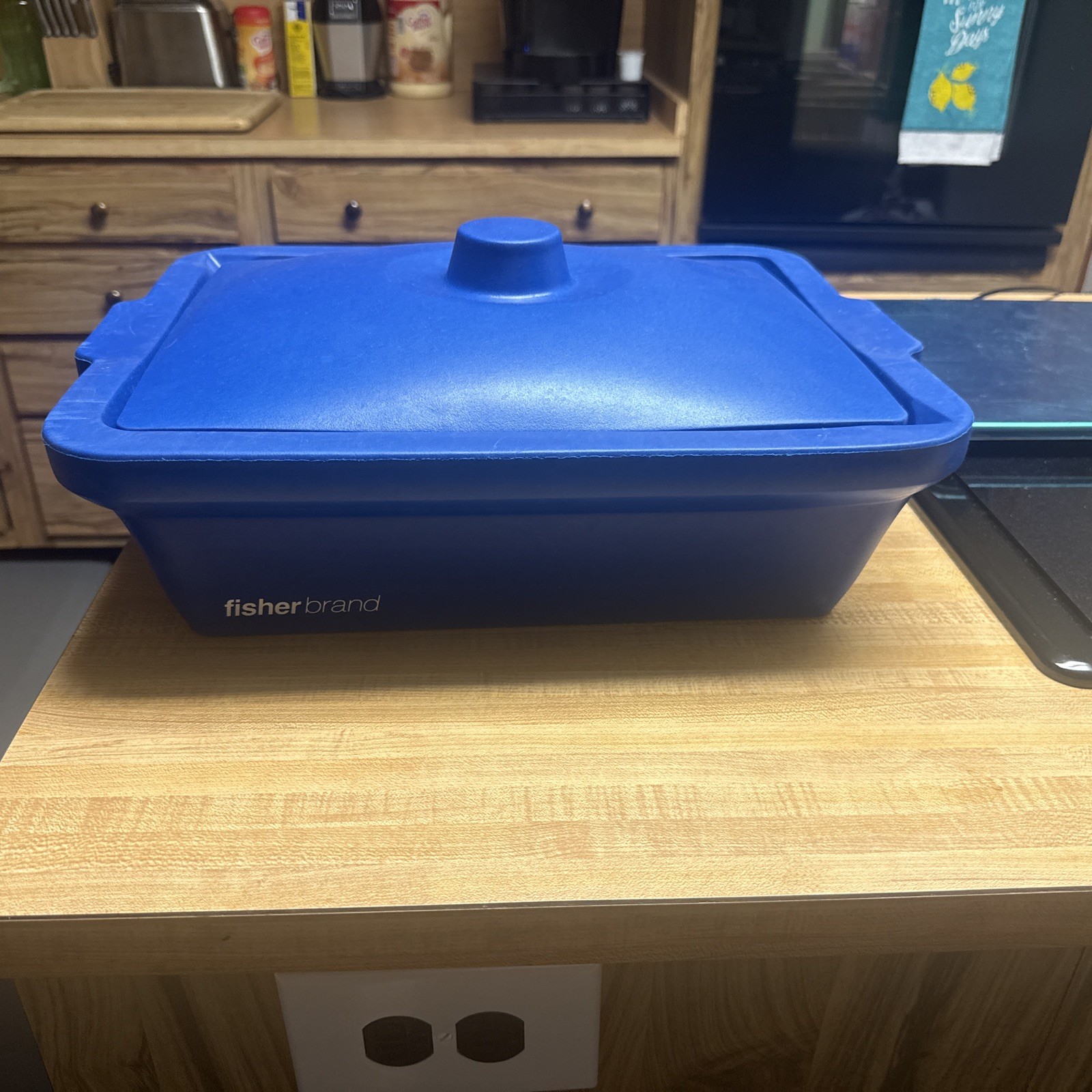 Fisher Brand 03-395-153 4L Cryogenic Storage Box with Lid