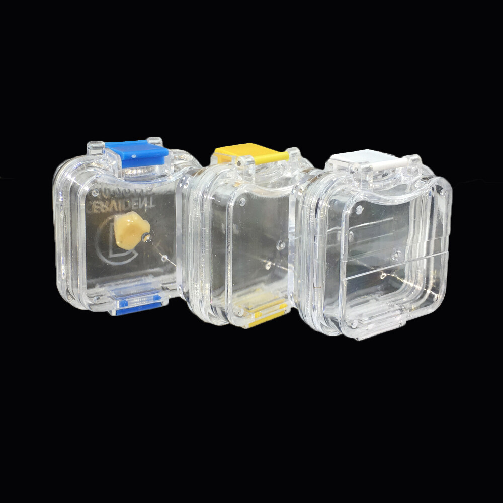 20pcs Denture Plastic Membrane Box Storage Case with Film Dental Teeth Box