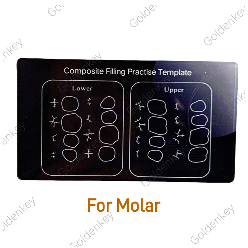 Dental Composite Filling Practise Template Board Model Student Practice Resin