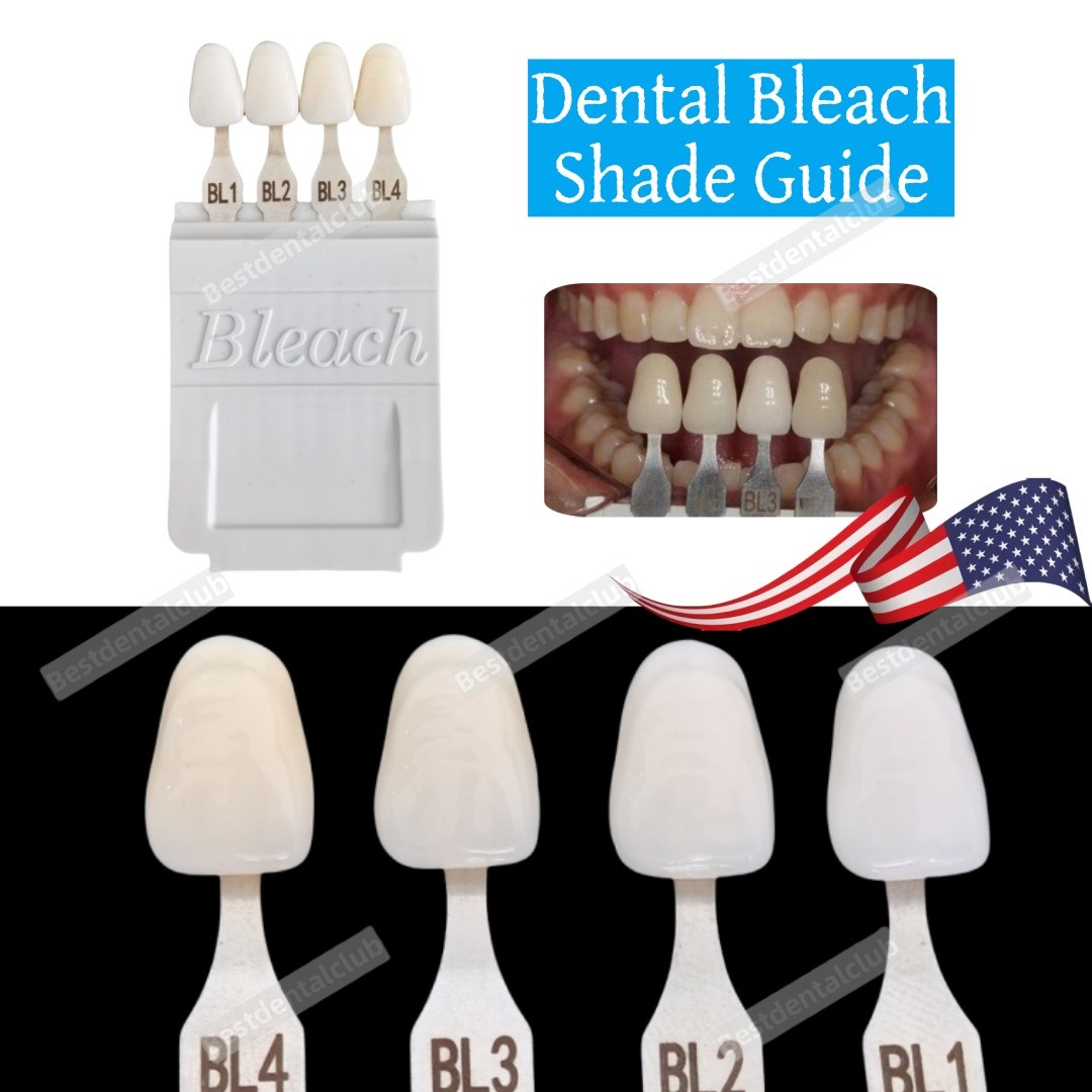 Dental Bleach Shade Guide BL1/2/3/4 4Colors Bleached Chart Teeth Based Vita USA