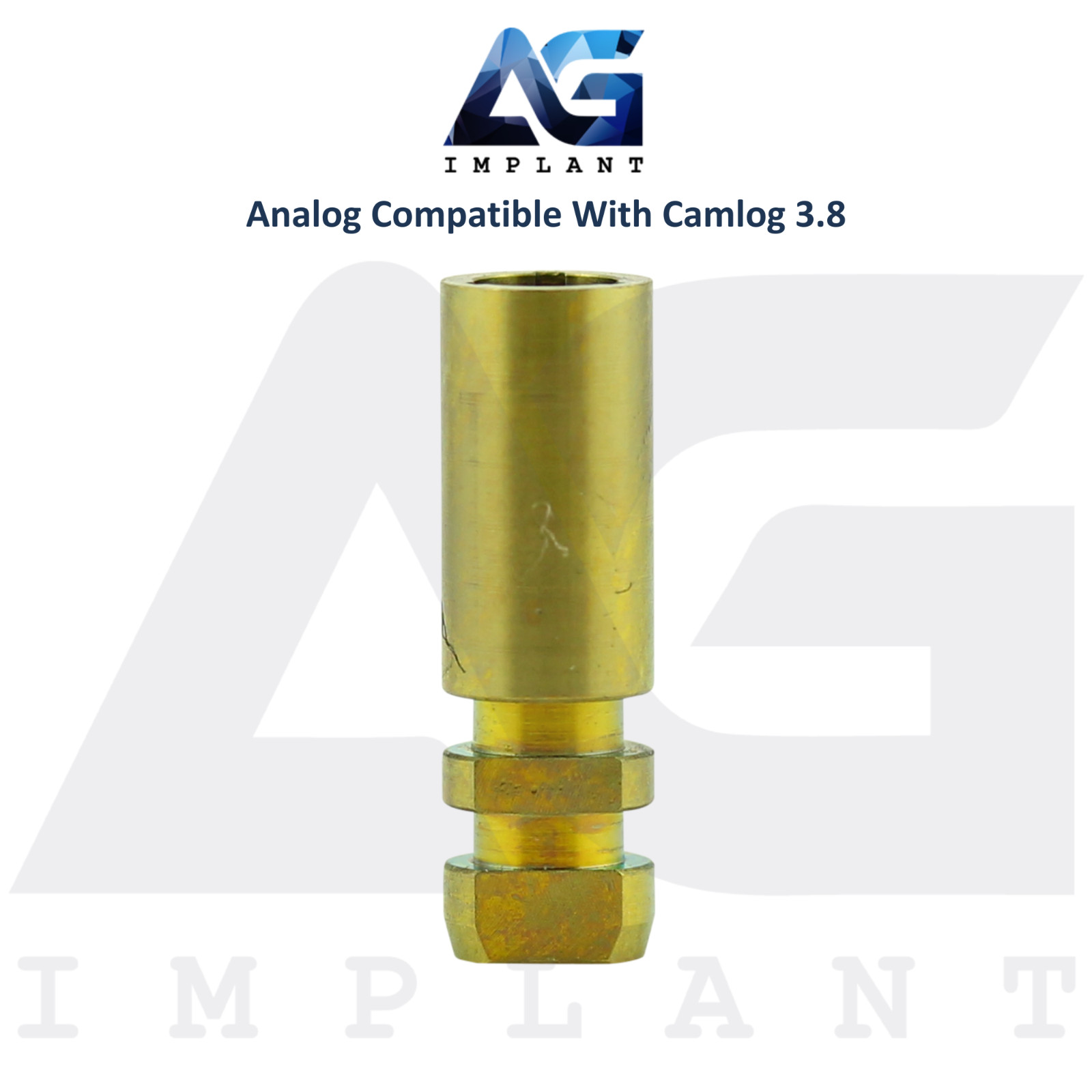 10 Fixture Analog Compatible with BioHorizons® CAMLOG® Ø3.8mm Dental Lab