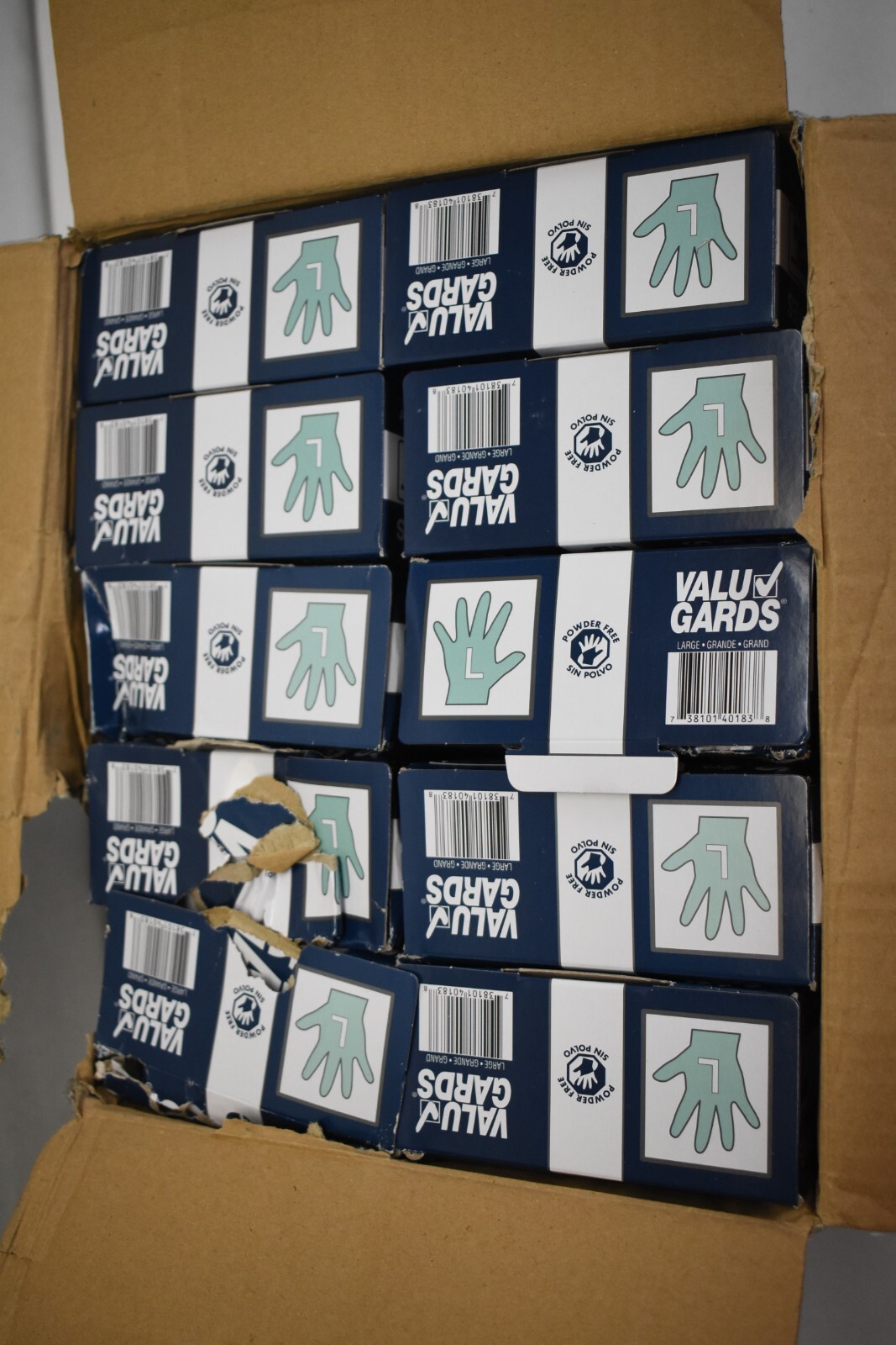 1000 Count Case Valu Gards Vinyl Gloves General Purpose Powder Free Gloves L