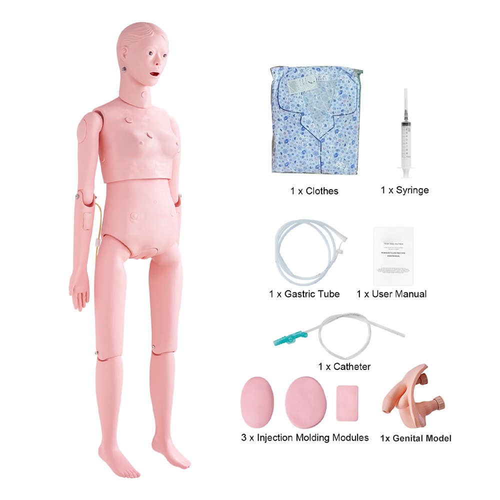 Female/Male Manikin Model with Swappable Genitals Anatomical Nursing Training