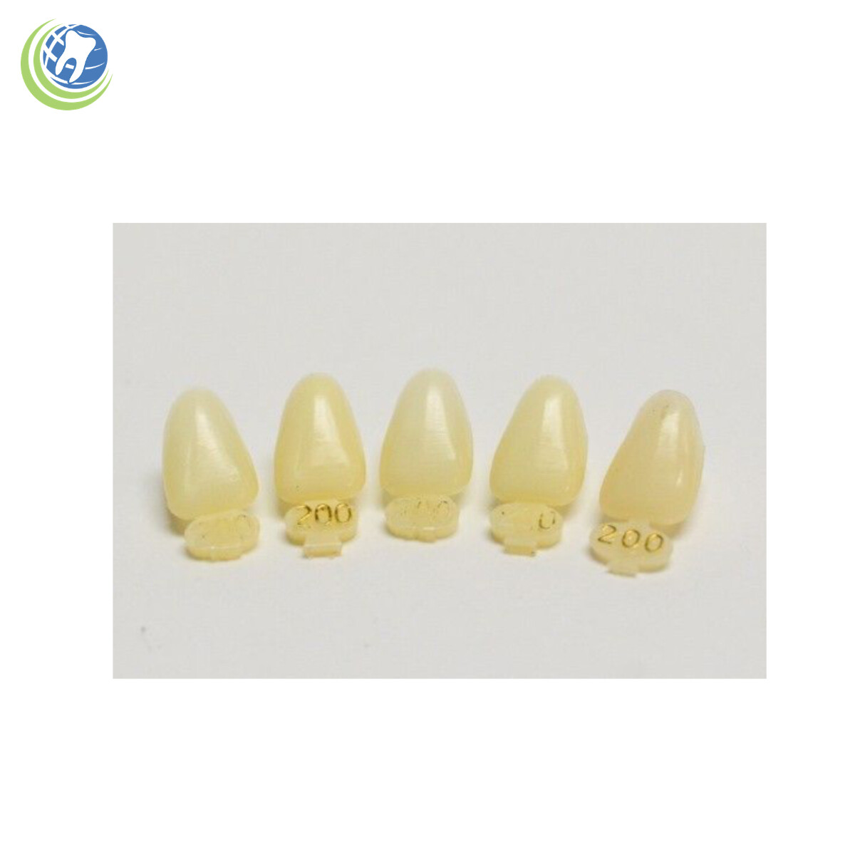 Tooth #10 Upper Left Lateral (ULL) Polycarbonate Temporary Crowns Cap Refills