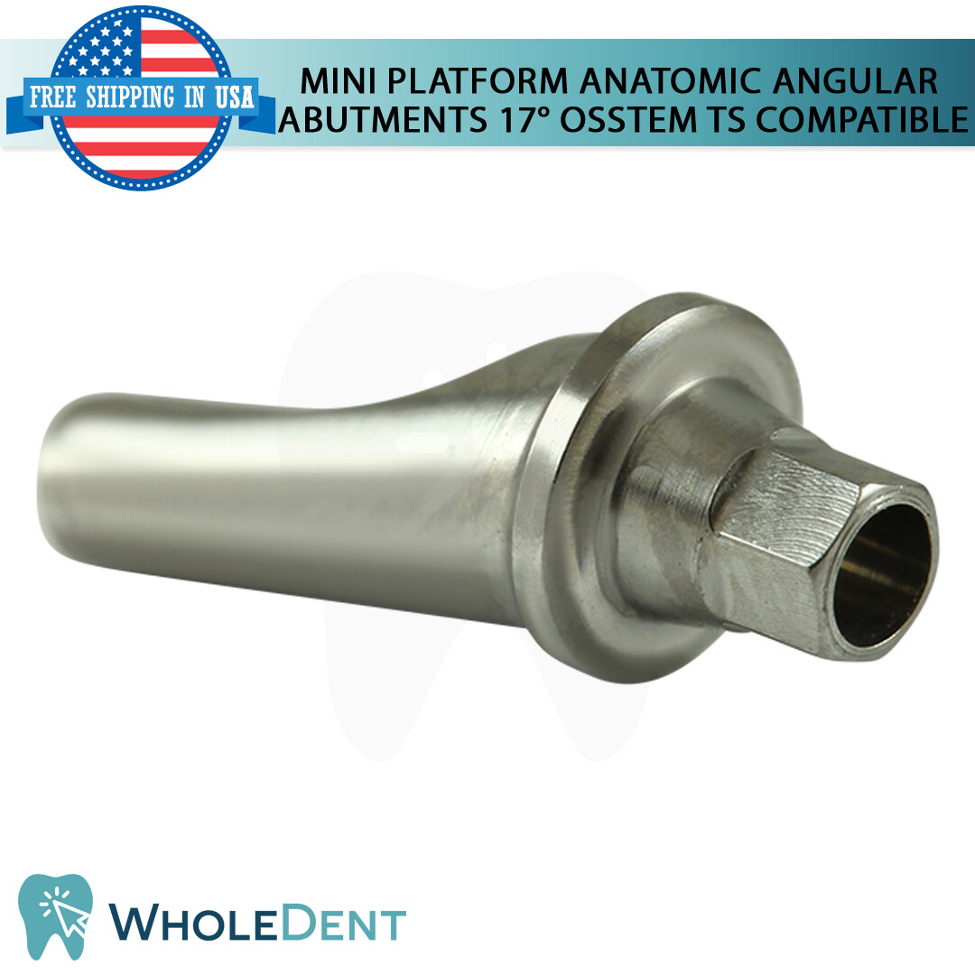 1X Mini Angled Anatomic Abutment 17° Titanium Dental Osstem® TS Compatible