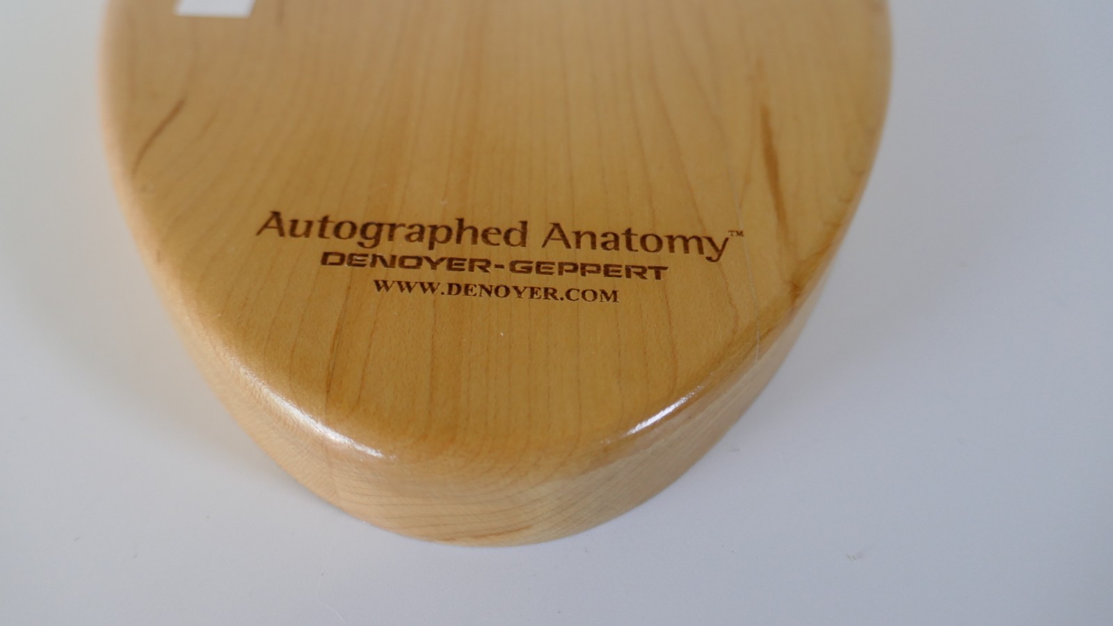 Denoyer-Geppert Brain Anatomical Model Medical Teaching – Numbers & function
