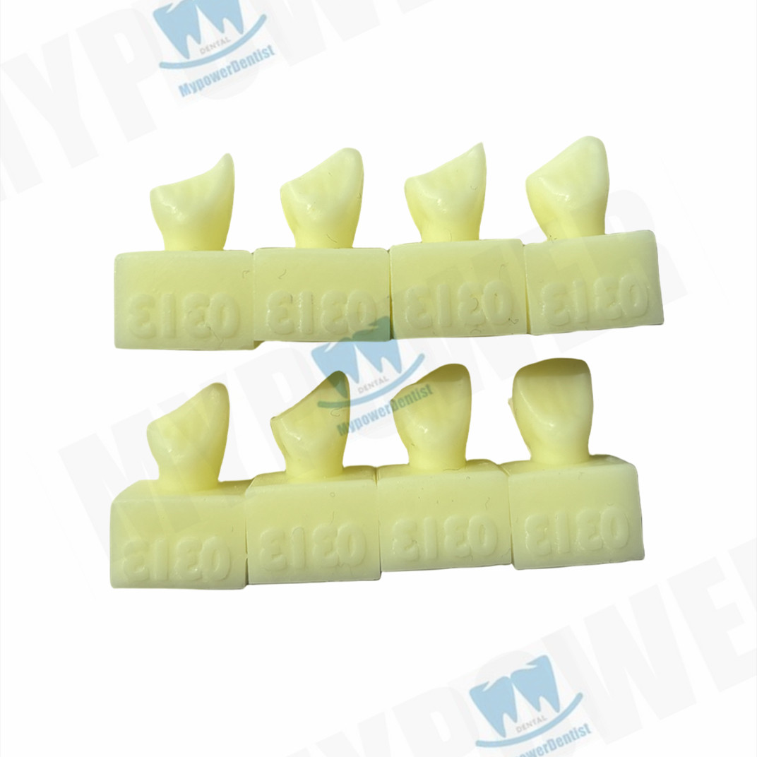 Dental Cavity Preparation/Vitro Decay Caries Model/Composite Resin Filling Model