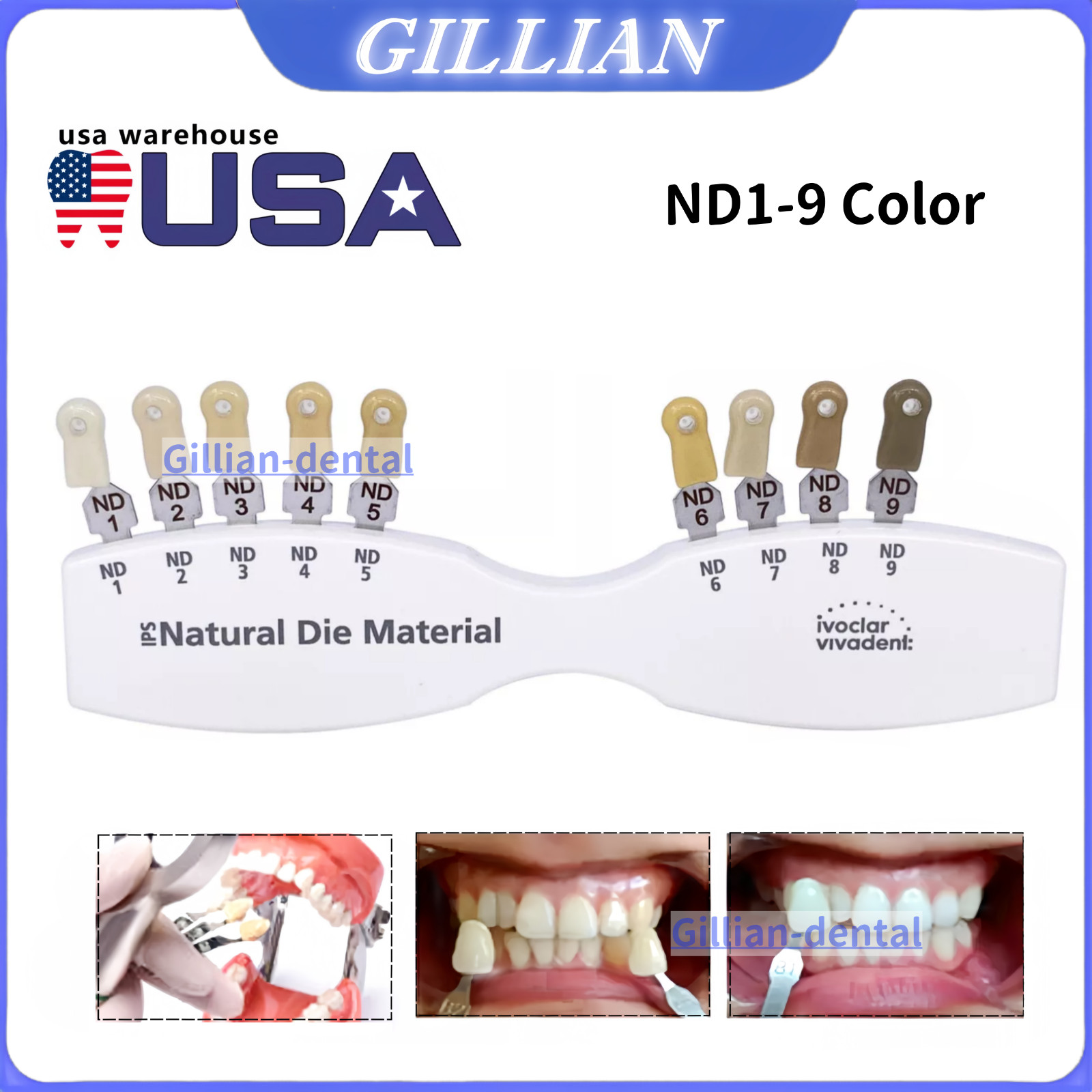 1X Dental IPS Natural Die Material Shade Guide Ivoclar Vivadent ND1-9 Abutment