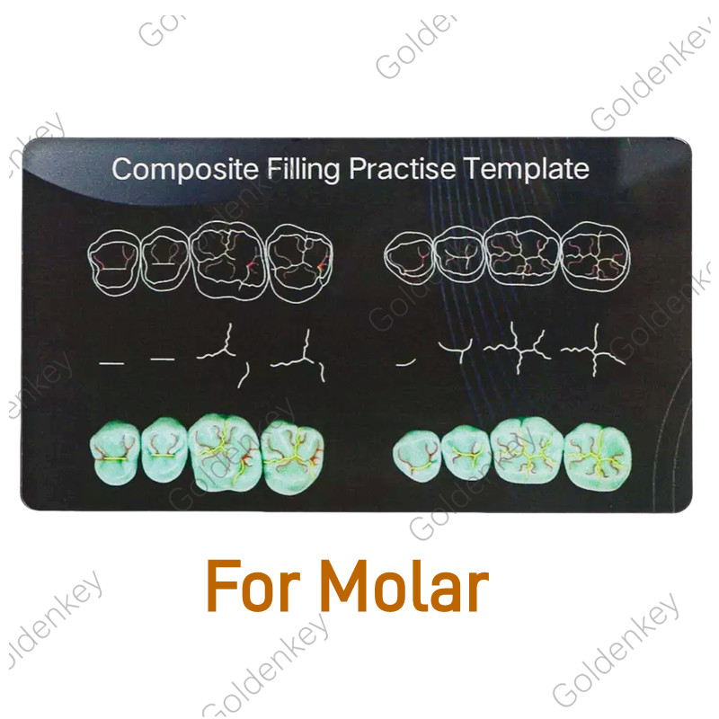 Dental Composite Filling Practise Template Board Model Student Practice Resin