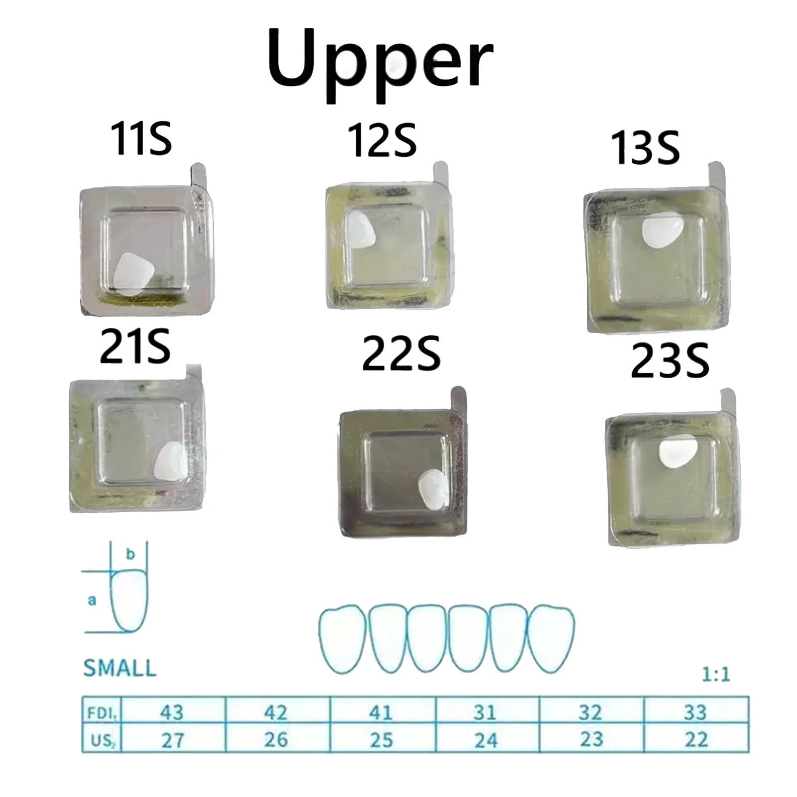 Dental Composite Upper/Lower Resin Light Cure Anterior Teeth Front Teeth Veneers