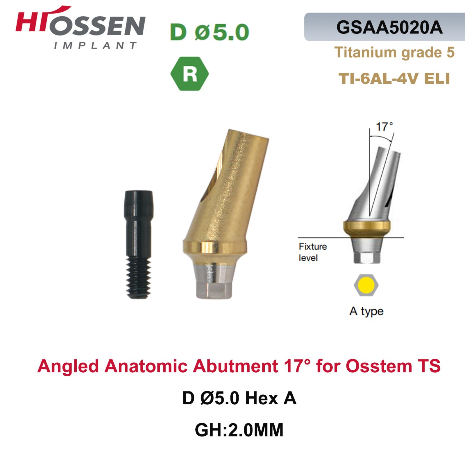 17° Angled Abutment Mini/Regular Hex Compatible with Osstem TS Implants Titanium
