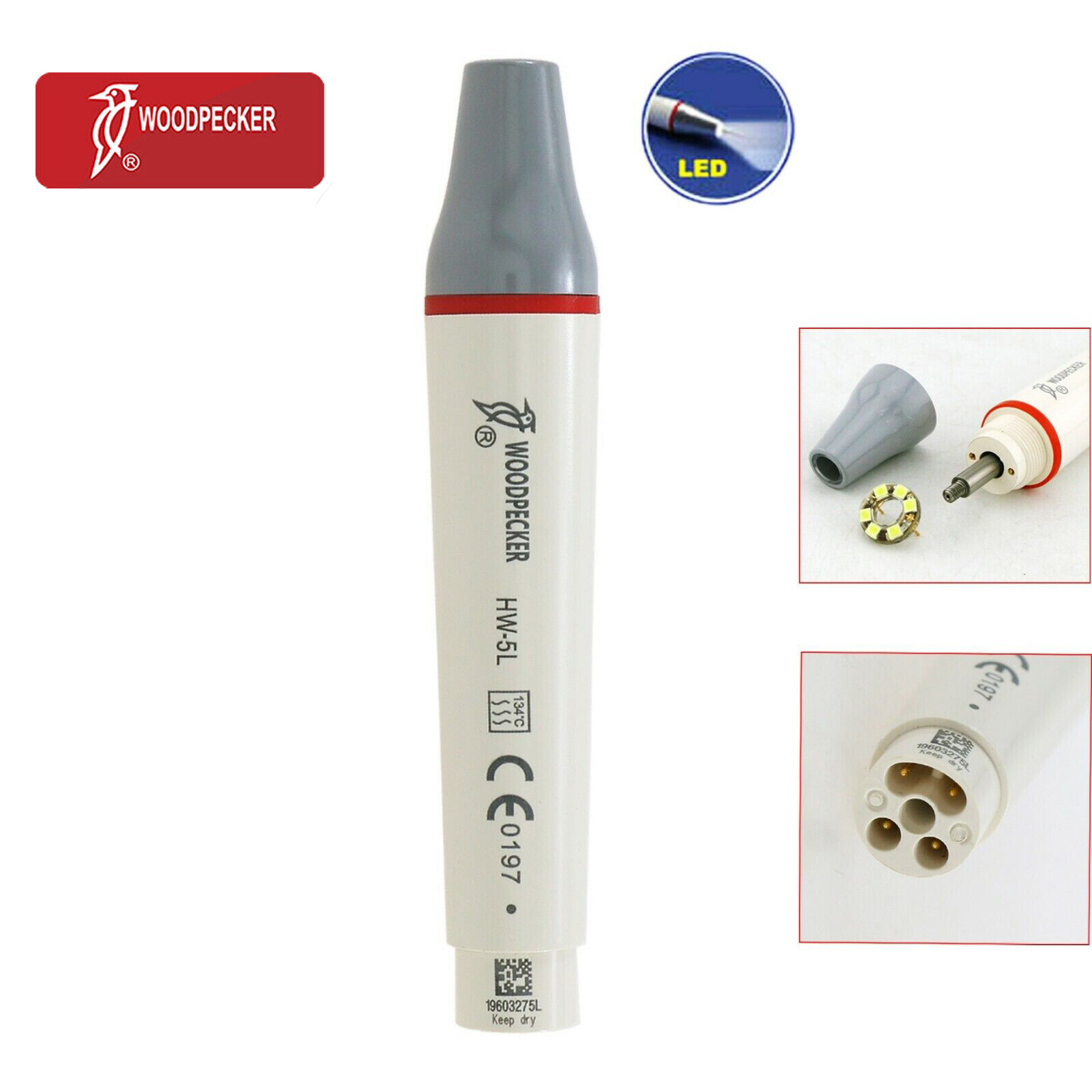 Woodpecker DTE HW-5L HD-7L Dental Ultrasonic Scaler Piezo Handpiece Tips G1 GD1
