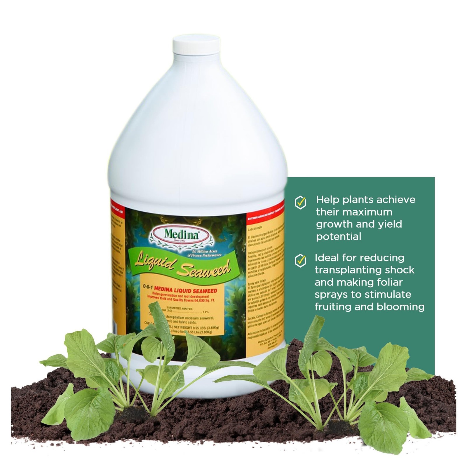 Medina Liquid Seaweed Fertilizer for Plants – Concentrated Seaweed Fertilizer…