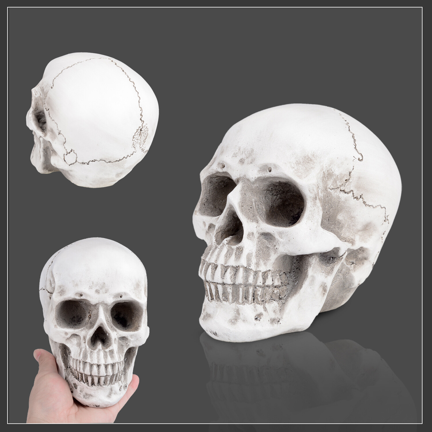 1:1 Retro Human Skull Replica Resin Anatomical Model Medical Life Size Realistic