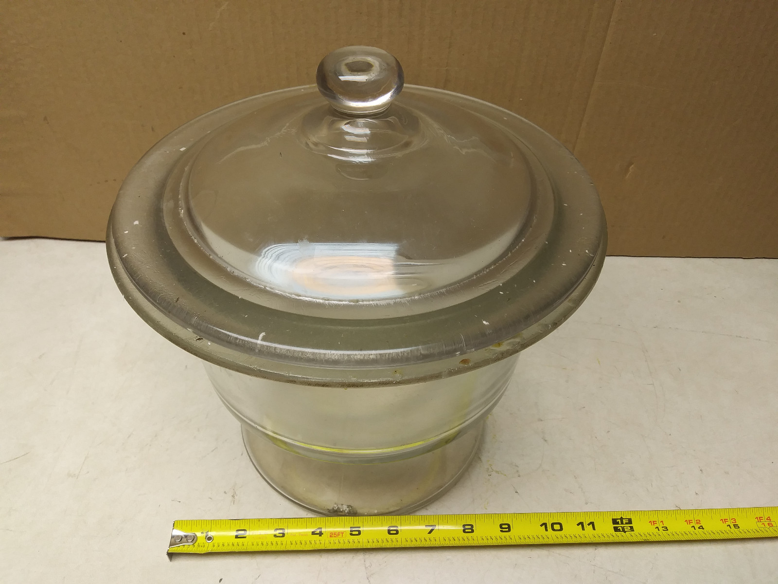 glass dessicator 8″, no tray