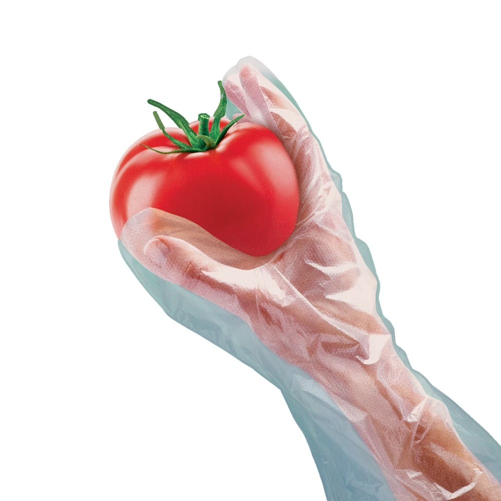 (5 pack) Great Value Disposable Poly Food Gloves, 120-Count, One Size Fits Most