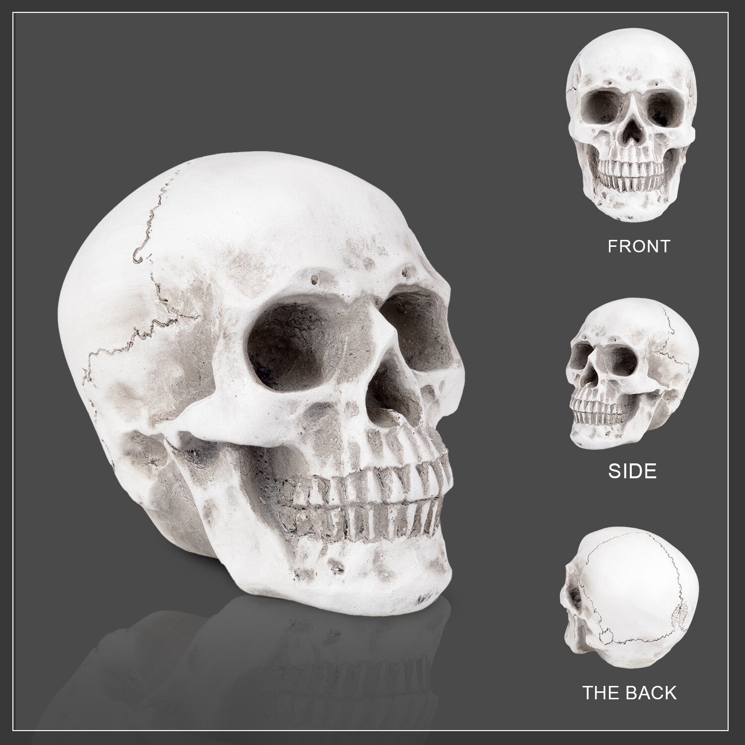1:1 Retro Human Skull Replica Resin Anatomical Model Medical Life Size Realistic