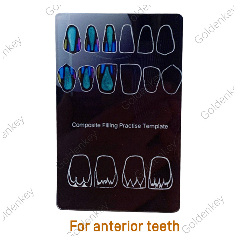 Dental Composite Filling Practise Template Board Model Student Practice Resin