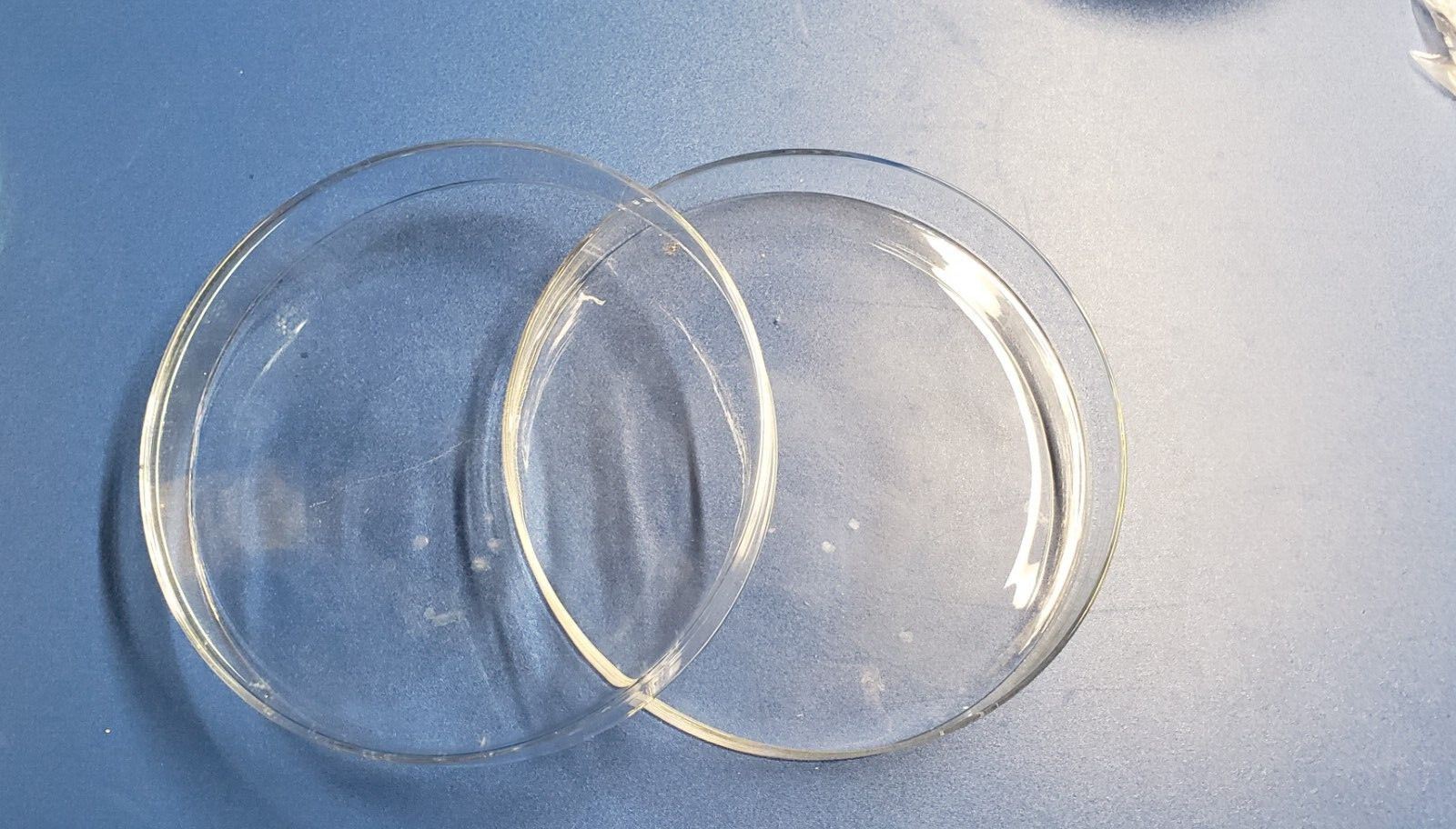 Lab glass tissue culture plate petri dish 150mm 6″ Borosillicate Pack of 3 new