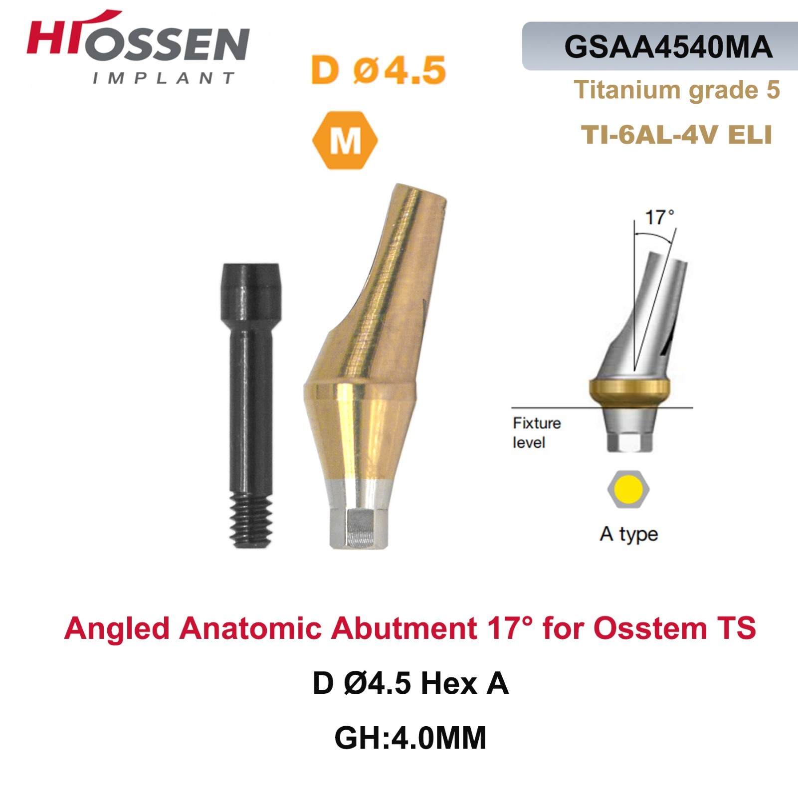 17° Angled Abutment Mini/Regular Hex Compatible with Osstem TS Implants Titanium