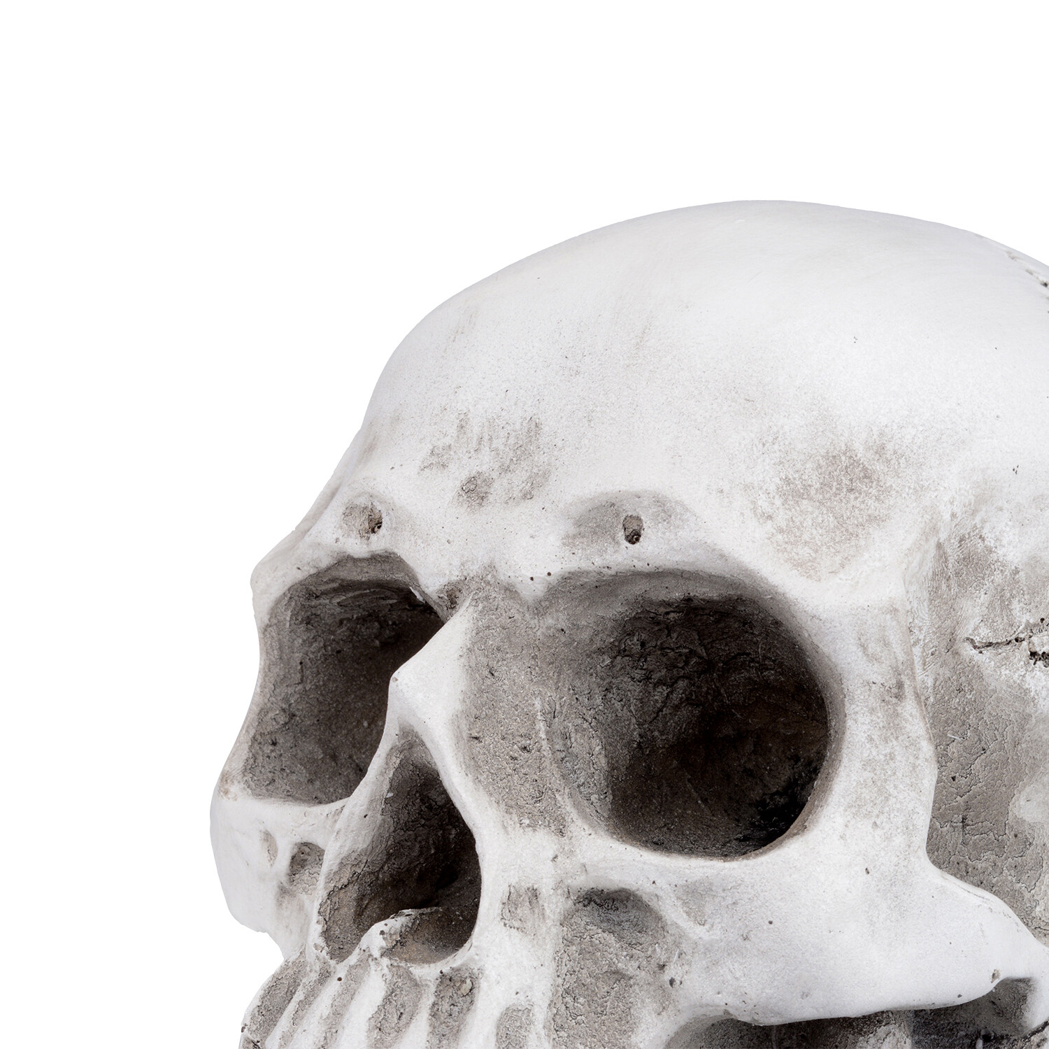 1:1 Retro Human Skull Replica Resin Anatomical Model Medical Life Size Realistic