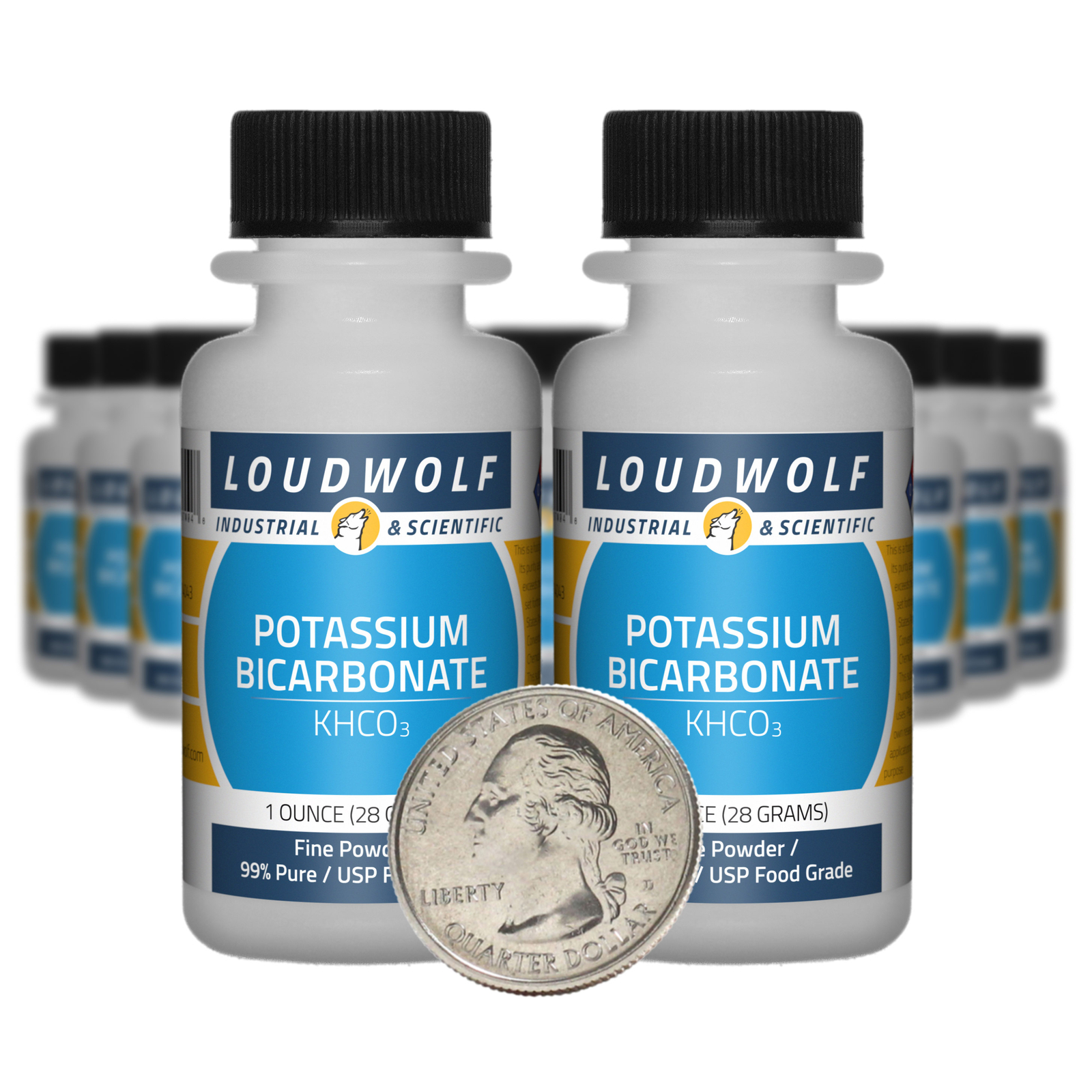 Potassium Bicarbonate / 1.3 Lbs / 20 Bottles / 99% USP Food Grade / Fine Powder